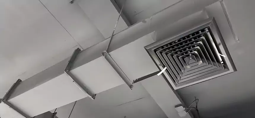 Our Rodent Droppings In Vents Services in El Reno, OK