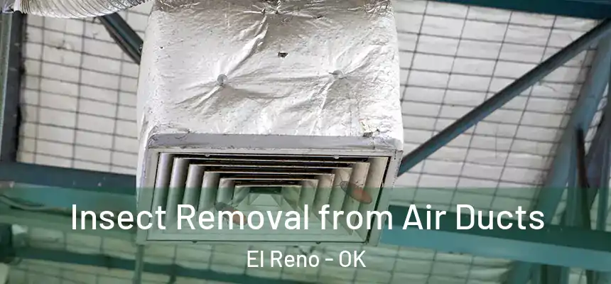  Insect Removal from Air Ducts El Reno - OK