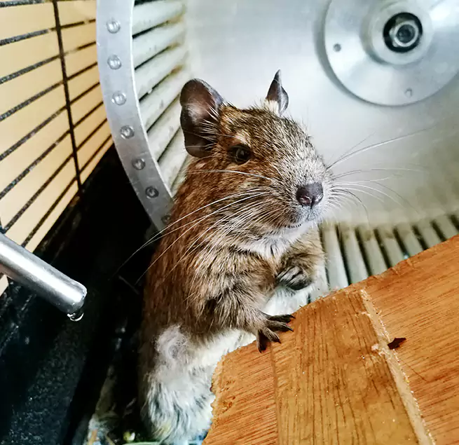 Why Homeowners & Businesses Trust Us El Reno, OK